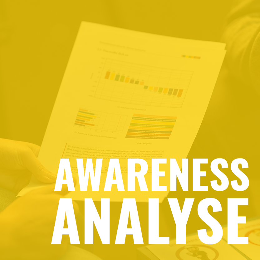 Eightawareness Analyse